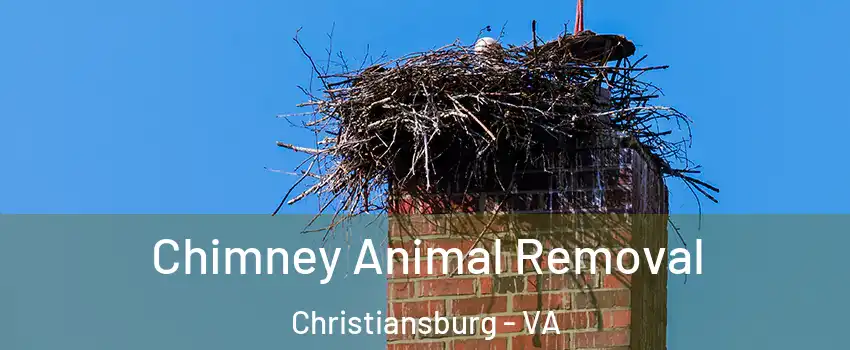  Chimney Animal Removal Christiansburg - VA