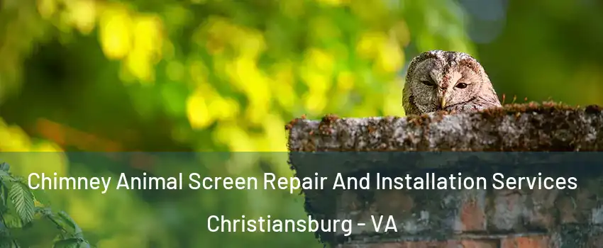  Chimney Animal Screen Repair And Installation Services Christiansburg - VA