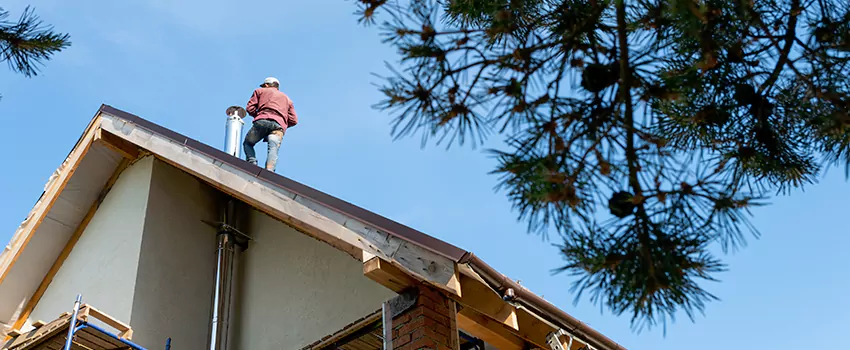Birds Removal Contractors from Chimney in Christiansburg, VA