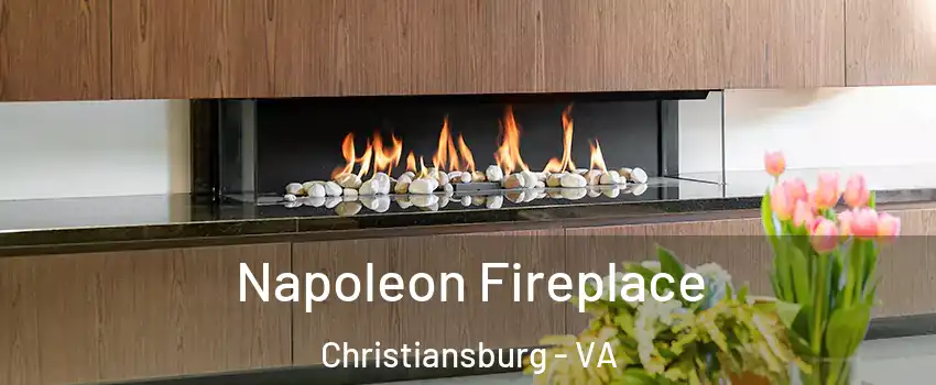  Napoleon Fireplace Christiansburg - VA